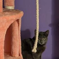 Thumbnail photo of Nadia (coming soon!) #3