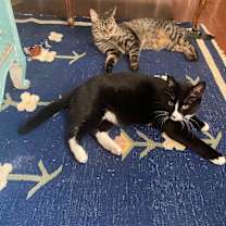 Thumbnail photo of Boots #2