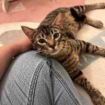 Thumbnail photo of Eric #4