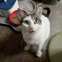 Thumbnail photo of Bella Brown #4