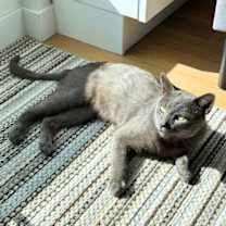 Thumbnail photo of Mushtaaq #2