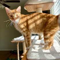 Thumbnail photo of Billy #2