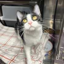 Thumbnail photo of Minni #3