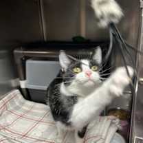 Thumbnail photo of Minni #4