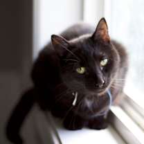 Thumbnail photo of Eclipse #2
