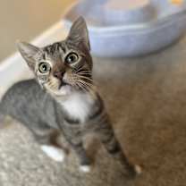 Thumbnail photo of Gwen #1