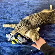 Thumbnail photo of Gwen #2