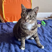 Thumbnail photo of Gwen #4