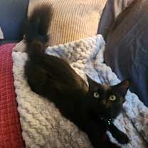 Thumbnail photo of Tommy #3