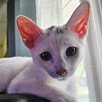 Thumbnail photo of George Clooney #1