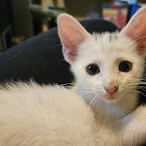 Thumbnail photo of George Clooney #2