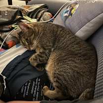 Thumbnail photo of Luci #3