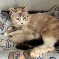 Thumbnail photo of Eve #4