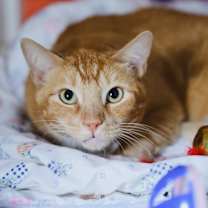 Thumbnail photo of JEFF #3