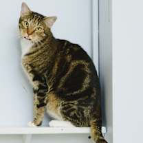 Thumbnail photo of Claudette #3