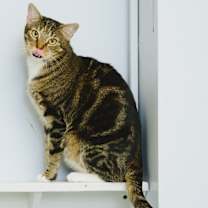 Thumbnail photo of Claudette #4