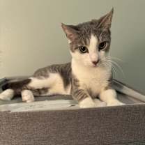 Thumbnail photo of Danny #4