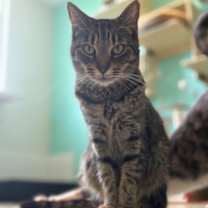 Thumbnail photo of Kinsley #1