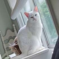 Thumbnail photo of Winter #1