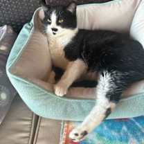 Thumbnail photo of WILLY WONKA #4