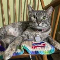 Thumbnail photo of Suzie #1