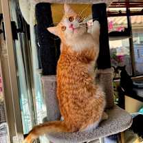 Thumbnail photo of Brewsky #2