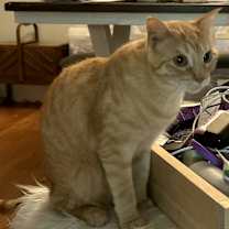 Thumbnail photo of Lana #2