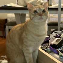 Thumbnail photo of Lana #4