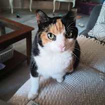 Thumbnail photo of Lexi #1