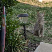 Thumbnail photo of Marmie #3