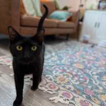 Thumbnail photo of Easter Montes #3