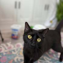 Thumbnail photo of Easter Montes #4