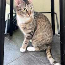 Thumbnail photo of Scarlett #2