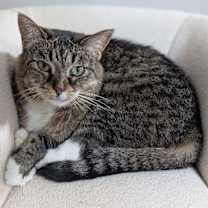 Thumbnail photo of Annie #2