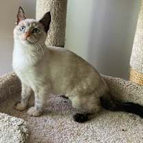 Thumbnail photo of Carly #3