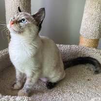 Thumbnail photo of Carly #4