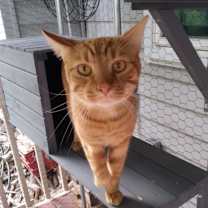 Thumbnail photo of Mei-Lee #4