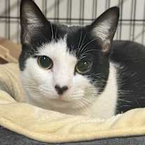 Thumbnail photo of Ellis #1