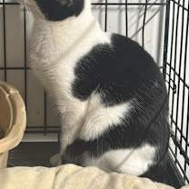 Thumbnail photo of Ellis #2