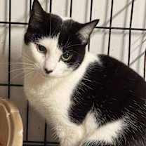 Thumbnail photo of Ellis #3