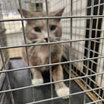 Thumbnail photo of Grayson #2