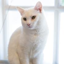 Thumbnail photo of Alaska #1