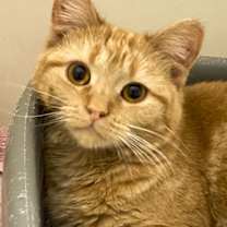 Thumbnail photo of Hesther #2