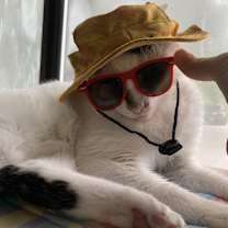 Thumbnail photo of Gretchen #2