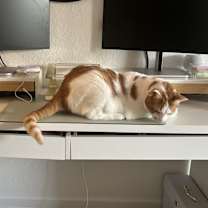 Thumbnail photo of Thor #4