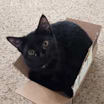 Thumbnail photo of Anna #1