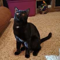 Thumbnail photo of Anna #2