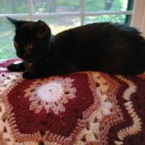 Thumbnail photo of Anna #3