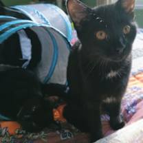 Thumbnail photo of Anna #4