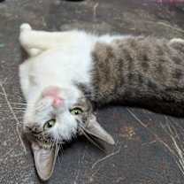 Thumbnail photo of Camilla #2